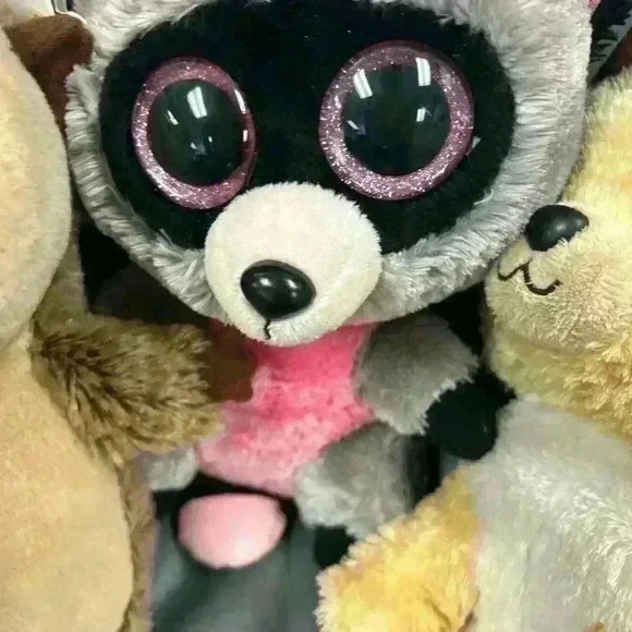 Beanie boo lot of 3 Ida Rocco and Nacho  2 with tags - Picture 3 of 7